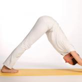 Yoga_Galerie_big1_new2020.jpg