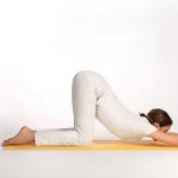 Yoga_Galerie_big2_new2020.jpg